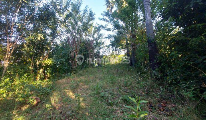 Dijual Tanah View Laut Di Bukit Asah, Desa Bug Bug, Karangasem 8