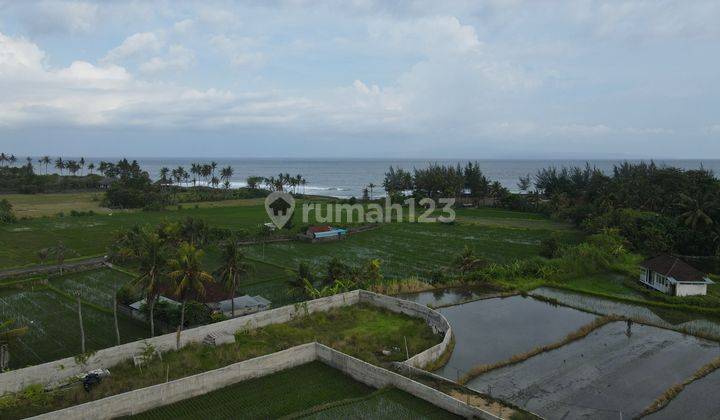 Dijual Tanah View Laut Dan Sawah Lokasi Strategis di Keramas 2