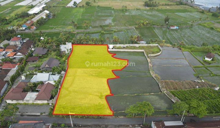 Dijual Tanah View Laut Dan Sawah Lokasi Strategis di Keramas 1