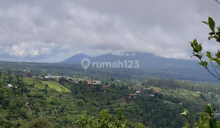 Land for sale in strategic location in Penelokan Kintamani 1