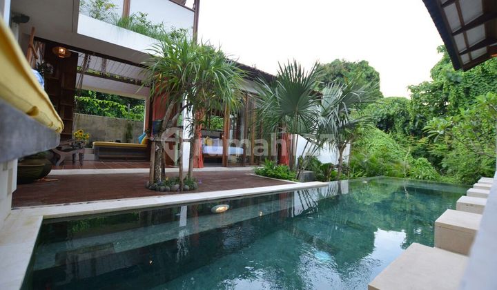 Tropical Villa for Rent with Fully Furnished Forest Atmosphere. 