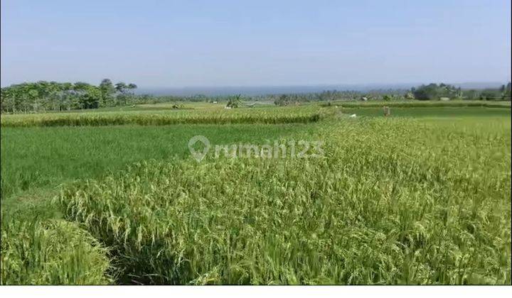 Dijual Tanah View Sawah di Selemadeg Tabanan. 1