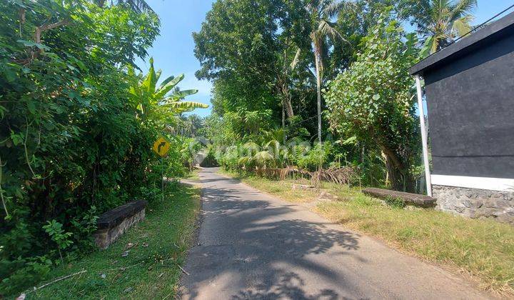 Disewakan Rumah Lingkungan Asri di Karangasem Manggis 2