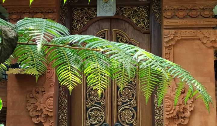 FOR SALE ‼️ Business property located on Blambangan Street, Tabanan. FOR SALE ‼️ Business property located on Blambangan Street, Tabanan.