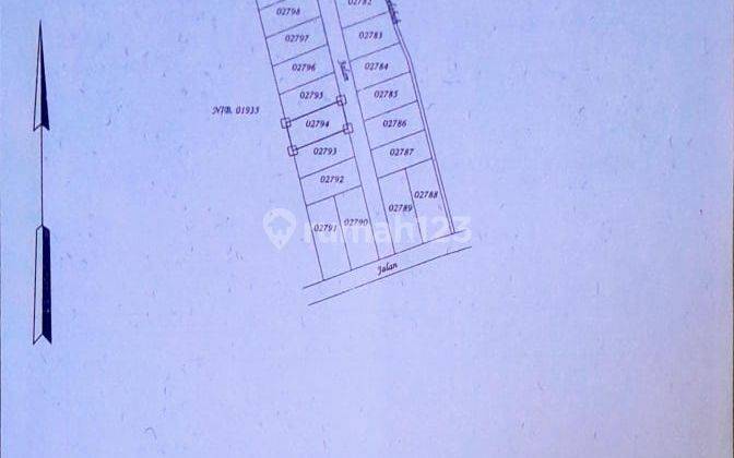 3 Are plot of land for rent in Temukus, Buleleng 2