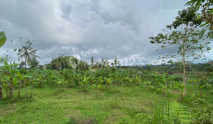 DIJUAL TANAH CANTIK VIEW JUNGLE DI DESA KERTA PAYANGAN UBUD DEKAT HOTEL PADMA dan KEBUN RAYA GIANYAR