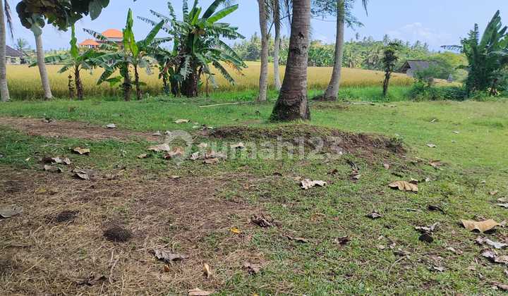 Land For Sale In Tabanan Area Close to Raya DenpasarGilimanuk Road