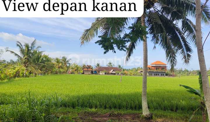 Buc Turun Harga Dijual Tanah Lokasi Tenang Dekat Pantai Soka dan Jl. Utama Denpasar-Gilimanuk Buc Turun Harga Dijual Tanah Lokasi Tenang Dekat Pantai Soka dan Jl. Utama Denpasar-Gilimanuk