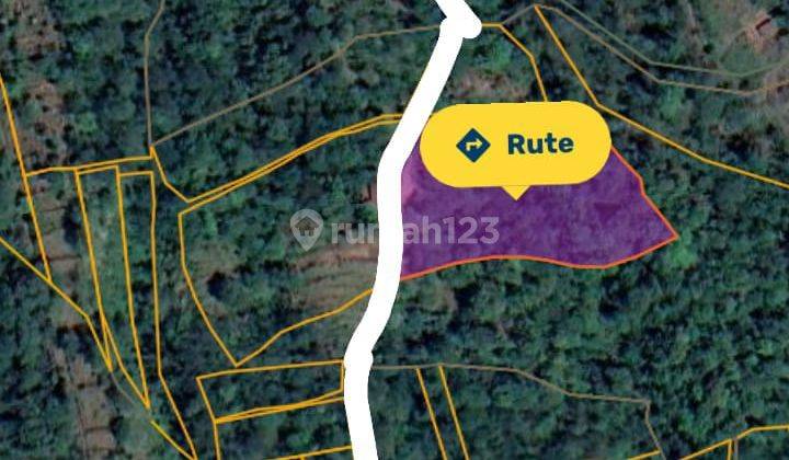 Dijual Tanah 47 Are Lokasi Dekat Daerah Bedugul, Buleleng. 1