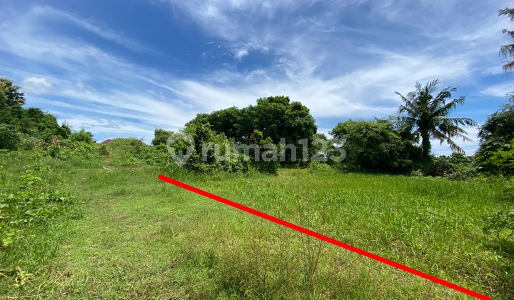 Dijual Tanah Murah di Lovina, Singaraja, Buleleng Dekat Pantai Lovina