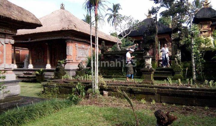 Dijual Tanah Bonus Bangunan Rumah Style Bali 1