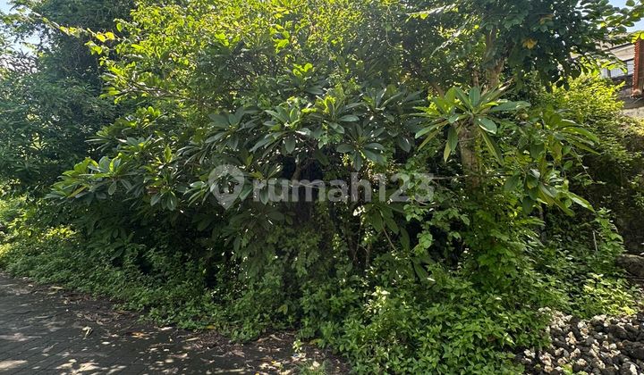 Tanah premium kawasan villa taman kebo iwa✨✨