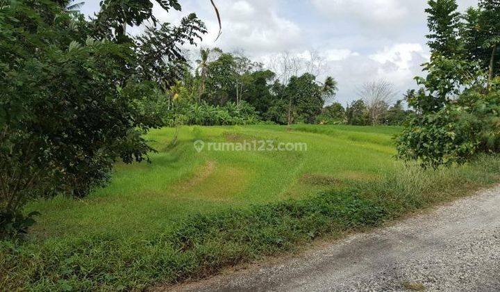 Tanah 5300 M2 Bonus 7 Unit Ruko Langsung Dekat Terminal Karyajaya 1