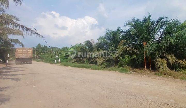 Tanah Dijual Di Tepi Sungai Besar 6,8 Ha, Zona Industri 2