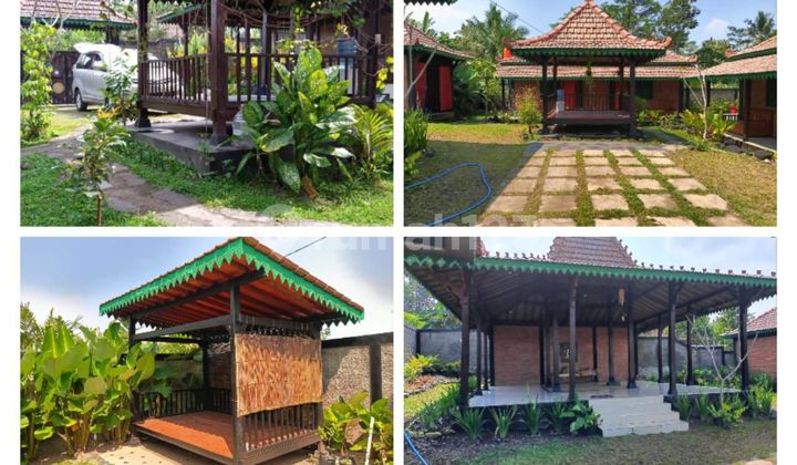 Rumah Joglo Full Furnished SHM Bagus view Gunung 