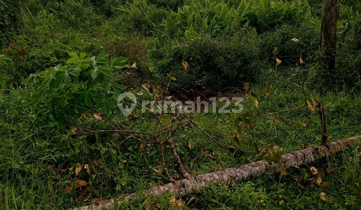 Tanah Pinggir Jalan Raya Cocok Utk Ruko Maupun Tempat Tinggal