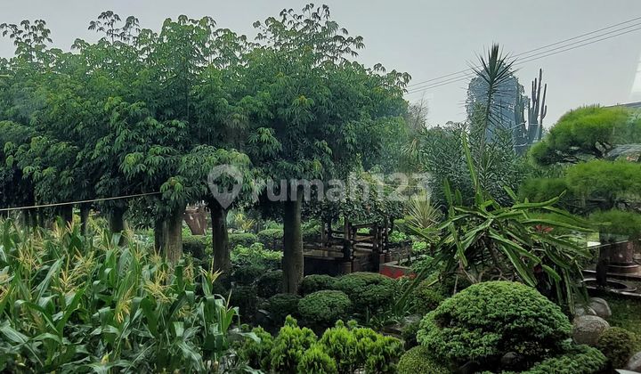 Rumah di Lembang Bandung Barat, Mewah dan Cantik bisa untuk Villa 2