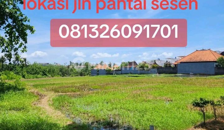 Dikontrakan atau di Jual Tanah Seseh