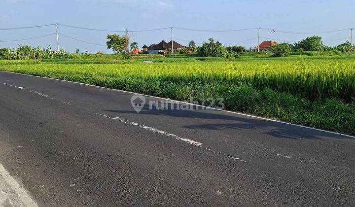 Dijual Tanah Strategis Di Sibang Gede 2