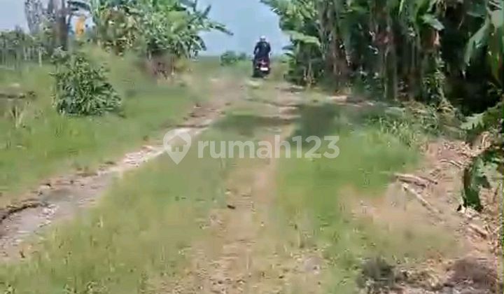 Dijual Tanah Strategis Tegal Temu Tabanan Dijual Tanah Strategis Tegal Temu Tabanan