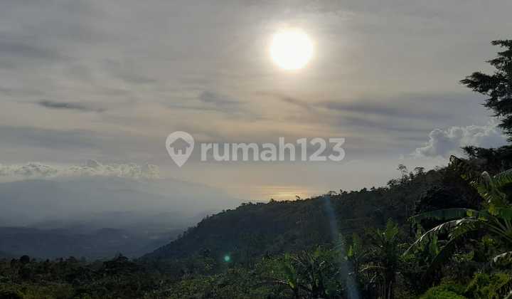 Land for Sale in Munduk Tamblingan Land for Sale in Munduk Tamblingan