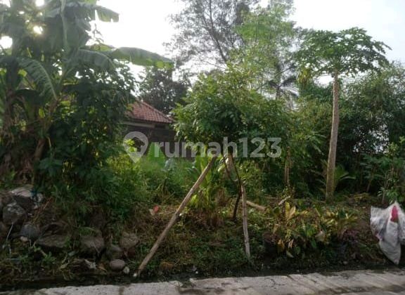 Dijual Tanah Strategis Buduk Pasekan