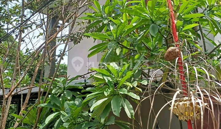 Dijual Tanah Siulan Denpasar Timur Dijual Tanah Siulan Denpasar Timur