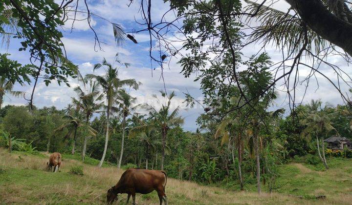 Land for sale in the Lalang Linggah garden, West Selemadeg, Tabanan 1