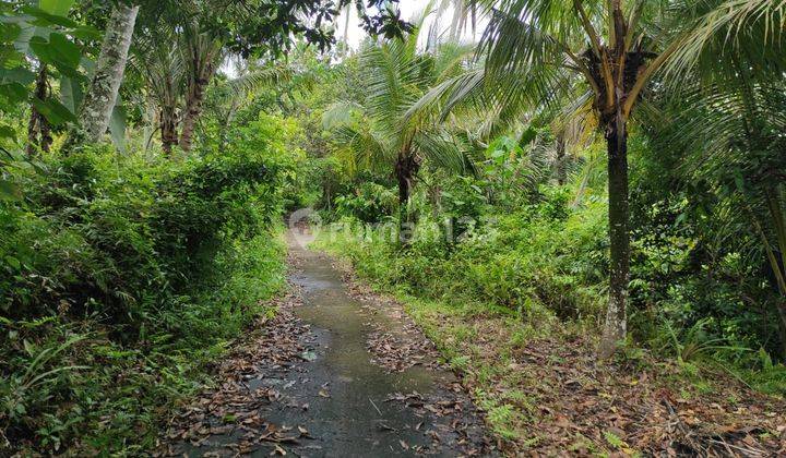 Land for sale in the Lalang Linggah garden, West Selemadeg, Tabanan 2