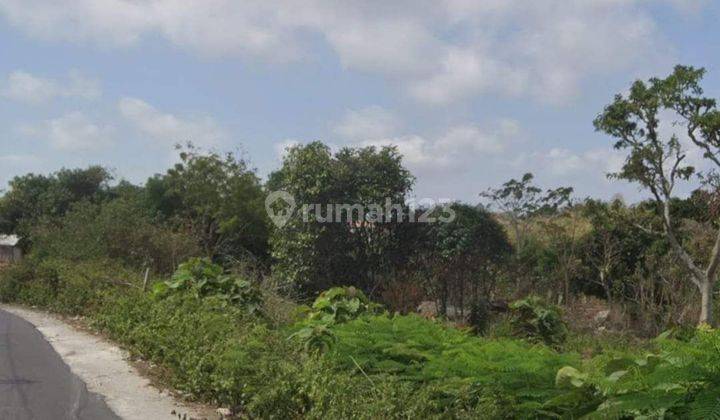 Land for sale at Matsuka Temple, Jimbaran, Bali 2