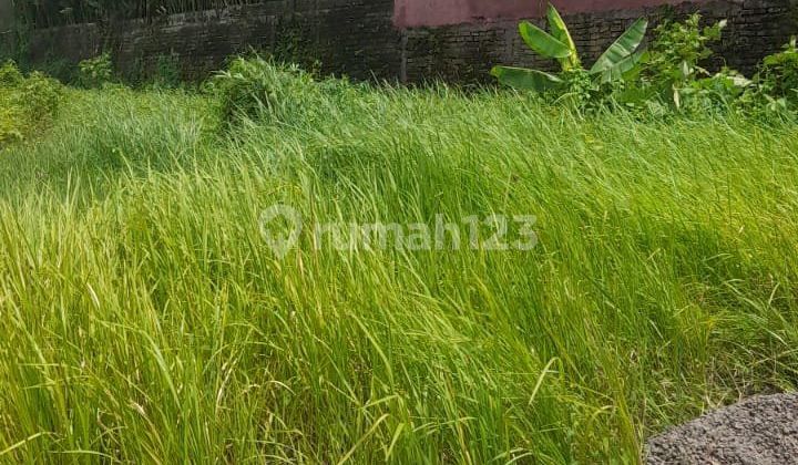 Di Jual Tanah Strategis Dalung Di Jual Tanah Strategis Dalung