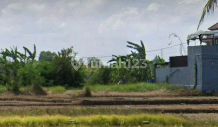 Dijual Tanah Siap Bangun Pantai Kedungu