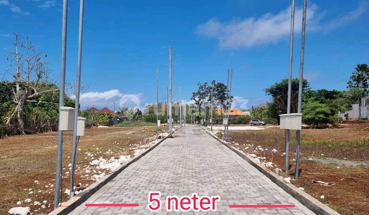 Disewakan Tanah Kecil Ungasan Disewakan Tanah Kecil Ungasan