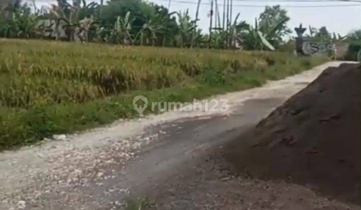 Dikontrakan Tanah 35 Are Tumbak Bayuh 1