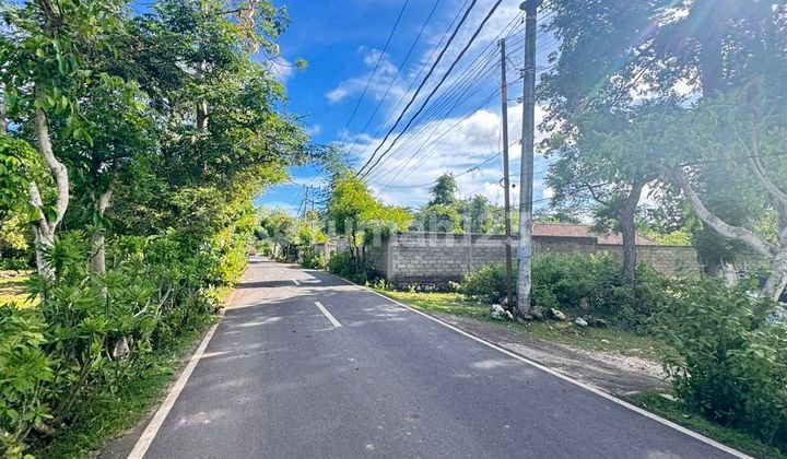 Dikontrakan Tanah 20 Are Balangan Dikontrakan Tanah 20 Are Balangan