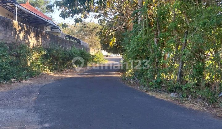 Land for Sale 2 Hectares Pecatu