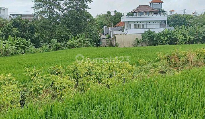 Dikontran Tanah Strategis Full View Sawah 1