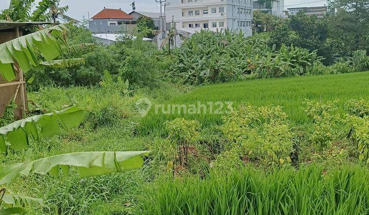 Dikontran Tanah Strategis Full View Sawah 2