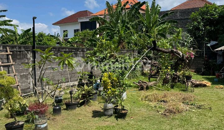 Dijual Tanah Gelogor Carik Denpasar Selatan Dijual Tanah Gelogor Carik Denpasar Selatan