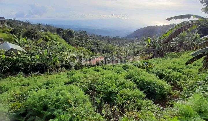 Land for Sale in Munduk Tamblingan Land for Sale in Munduk Tamblingan