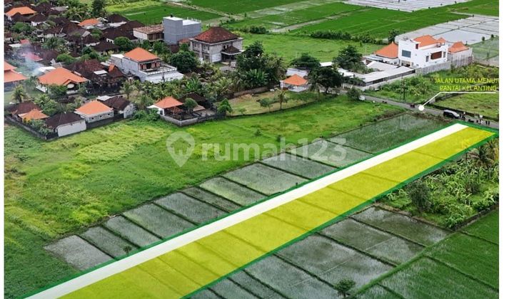 Dijual Tanah Pantai Kelating Tabanan Dijual Tanah Pantai Kelating Tabanan