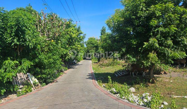 Dijual Tanah Full View Ungasan 2
