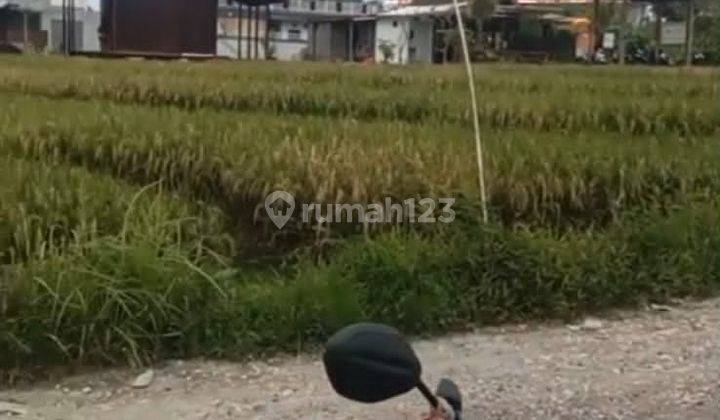 Dikontrakan Tanah 35 Are Tumbak Bayuh 2