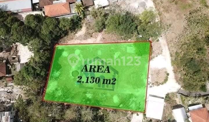 Dikontrakan Tanah Labuan Sait Uluwatu Dikontrakan Tanah Labuan Sait Uluwatu