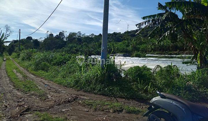 Dijual Tanah Kebun Bedugul 2