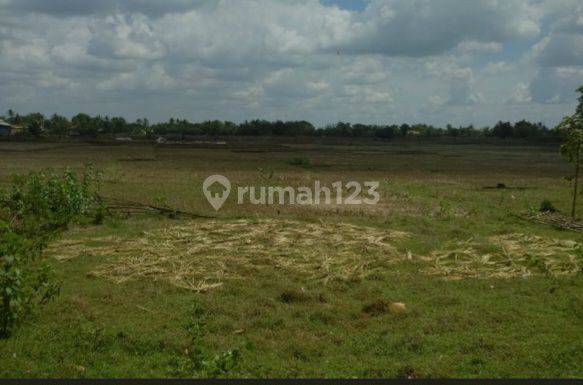 Tanah Balaraja Tangerang Dekat Rsud Tobat 1,5 Ha 1