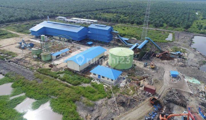 Perkebunan Kelapa Sawit 27.000 Hektar Nunukan Kalimantan Utara 2 Pabrik  Cepat Beroperasi 1
