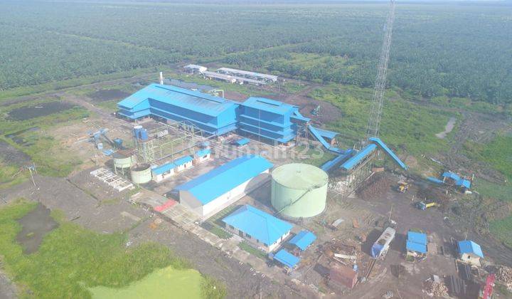 Perkebunan Kelapa Sawit 27.000 Hektar Nunukan Kalimantan Utara 2 Pabrik  Cepat Beroperasi 3