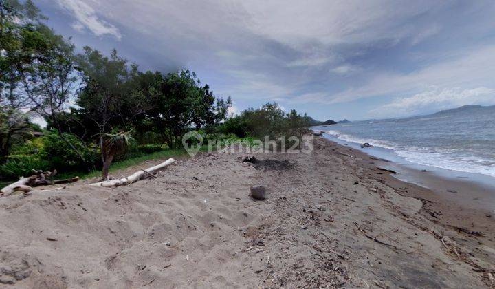 Kavling Tanah Labuan Bajo Dibawah Njop Langka Langsung Pantai Pasir Putih 60.894m2 Komodo Ntt 1