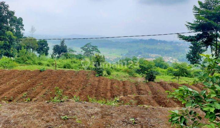 Jual Tanah Kavling 3 Hektar 30.000 M2 di Gunung Bunder 2, Pamijahan. Bogor. 1